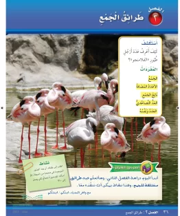 الوحدة الثانية/طرائق الجمع الوحدة الثانية/طرائق الجمع