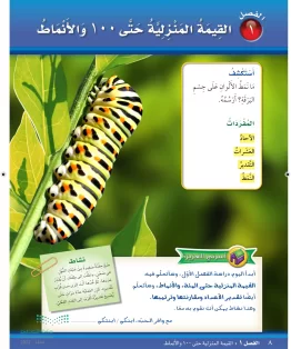الوحدة الأولى/القيمة المنزلية حتى 100 والأنماط الوحدة الأولى/القيمة المنزلية حتى 100 والأنماط