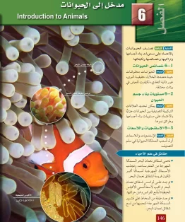 الفصل السادس/مدخل الى الحيوانات الفصل السادس/مدخل الى الحيوانات