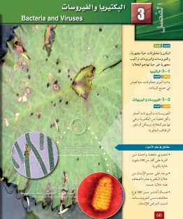 الفصل الثالث/البكتيريا والفيروسات الفصل الثالث/البكتيريا والفيروسات