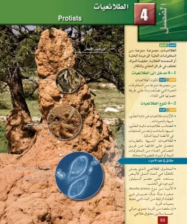 الفصل الرابع/الطلائعيات الفصل الرابع/الطلائعيات