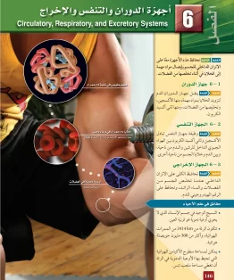 الفصل السادس/أجهزة الدوران والتنفس والإخراج الفصل السادس/أجهزة الدوران والتنفس والإخراج