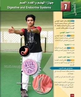 الفصل السابع/جهازا الهضم والغدد الصم الفصل السابع/جهازا الهضم والغدد الصم