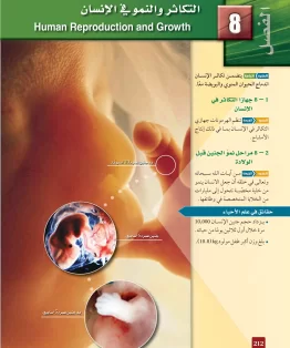 الفصل الثامن/التكاثر والنمو في الإنسان الفصل الثامن/التكاثر والنمو في الإنسان