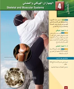الفصل الرابع/الجهازان الهيكلي والعضلي الفصل الرابع/الجهازان الهيكلي والعضلي