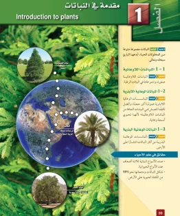 الفصل الاول/مقدمة في النباتات الفصل الاول/مقدمة في النباتات