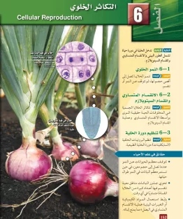 الفصل السادس/التكاثر الخلوي الفصل السادس/التكاثر الخلوي