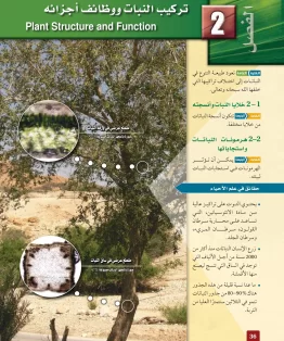الفصل الثاني/تركيب النبات ووظائف أجزائه الفصل الثاني/تركيب النبات ووظائف أجزائه