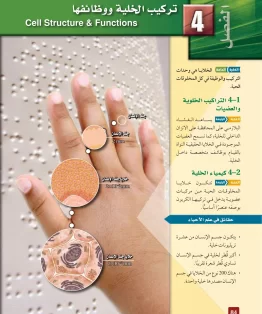 الفصل الرابع/تركيب الخلية ووظائفها الفصل الرابع/تركيب الخلية ووظائفها