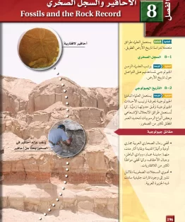 الفصل الثامن/الأحافير والسجل الصخري الفصل الثامن/الأحافير والسجل الصخري