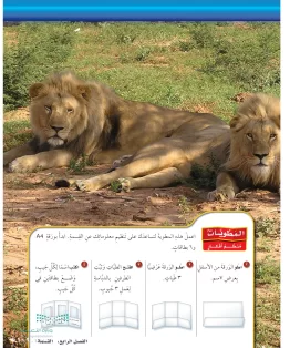 الرياضيات خامس ابتدائي الفصل الاول