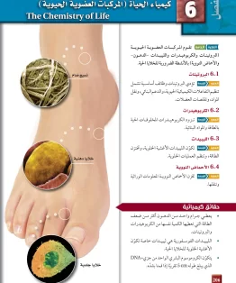 الفصل السادس/المركبات العضوية الحيوية الفصل السادس/المركبات العضوية الحيوية