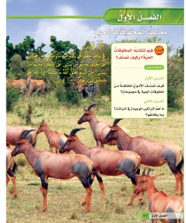 العلوم خامس ابتدائي الفصل الاول