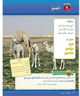 الرياضيات أول ابتدائي الفصل الاول