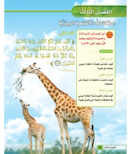 العلوم رابع ابتدائي الفصل الاول