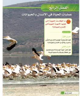 العلوم سادس ابتدائي الفصل الاول