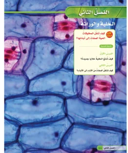 العلوم سادس ابتدائي الفصل الاول