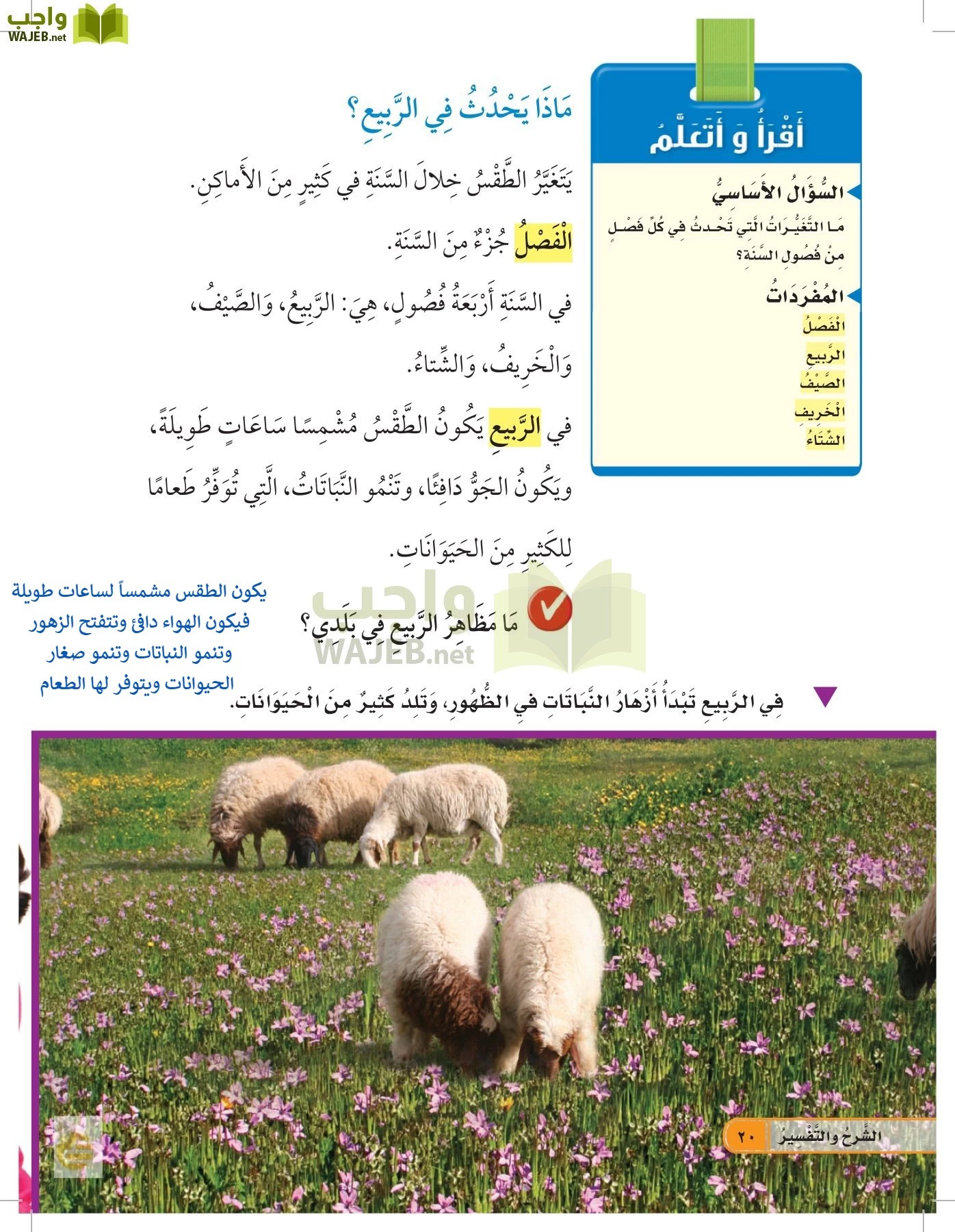 العلوم page-19