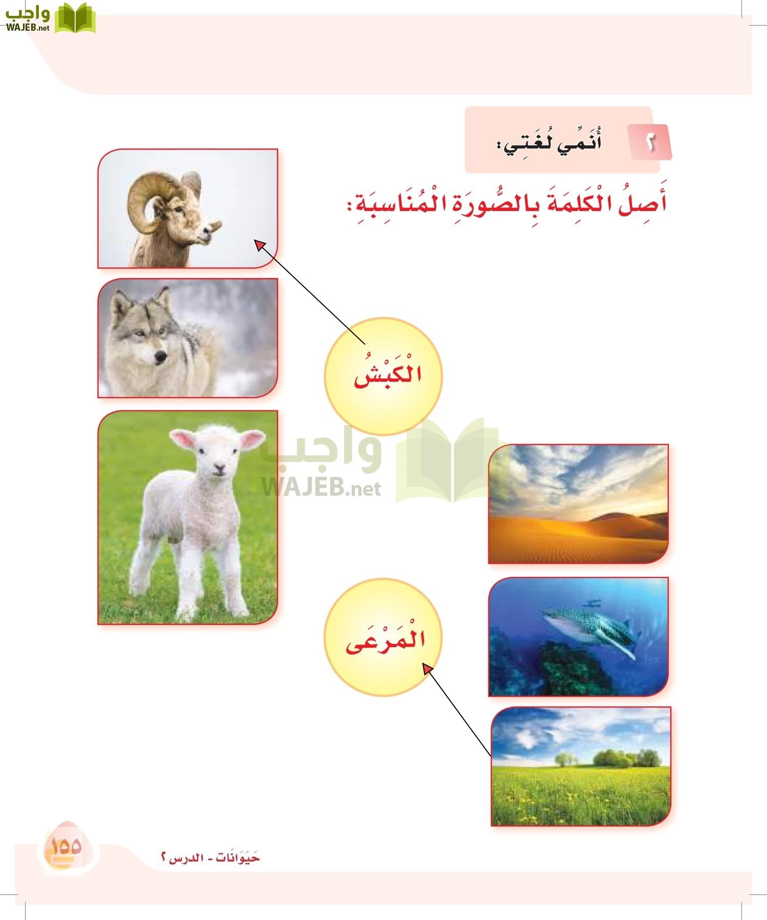 لغتي page-154