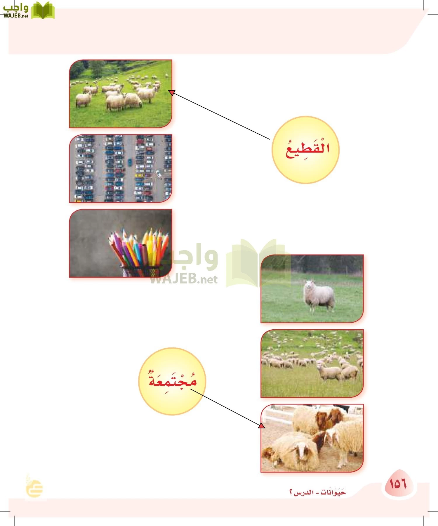 لغتي page-155