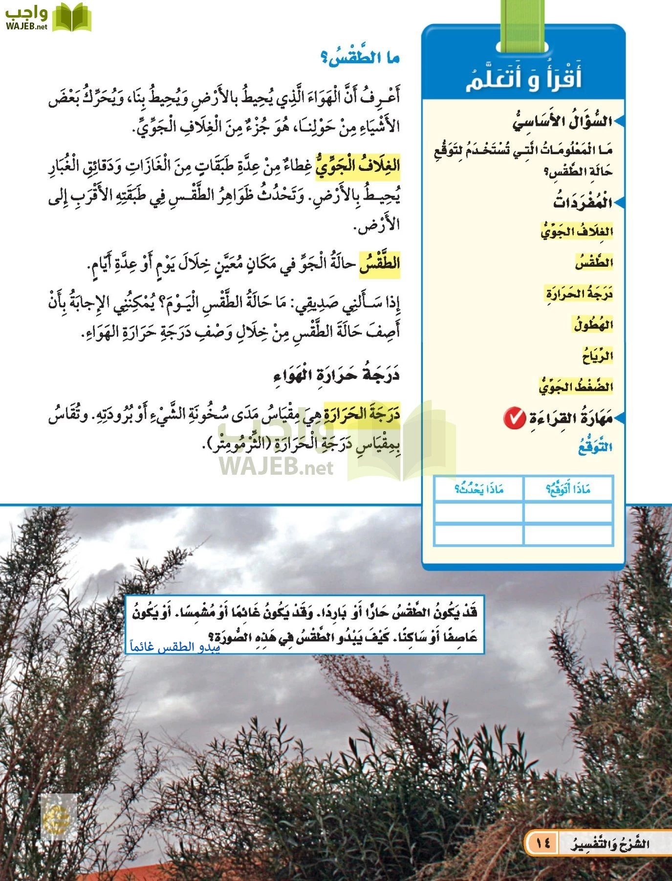 العلوم page-13