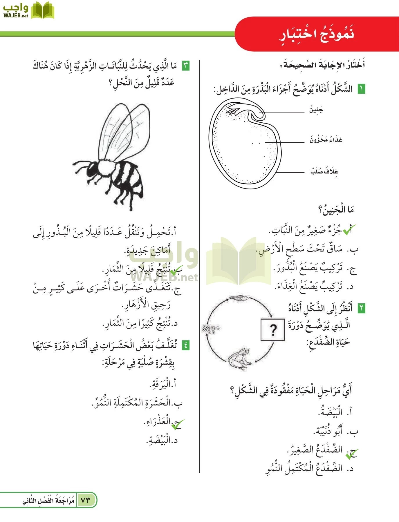 تغلف بعض الحشرات في أثناء دورة حياتها بقشرة صلبة في مرحلة