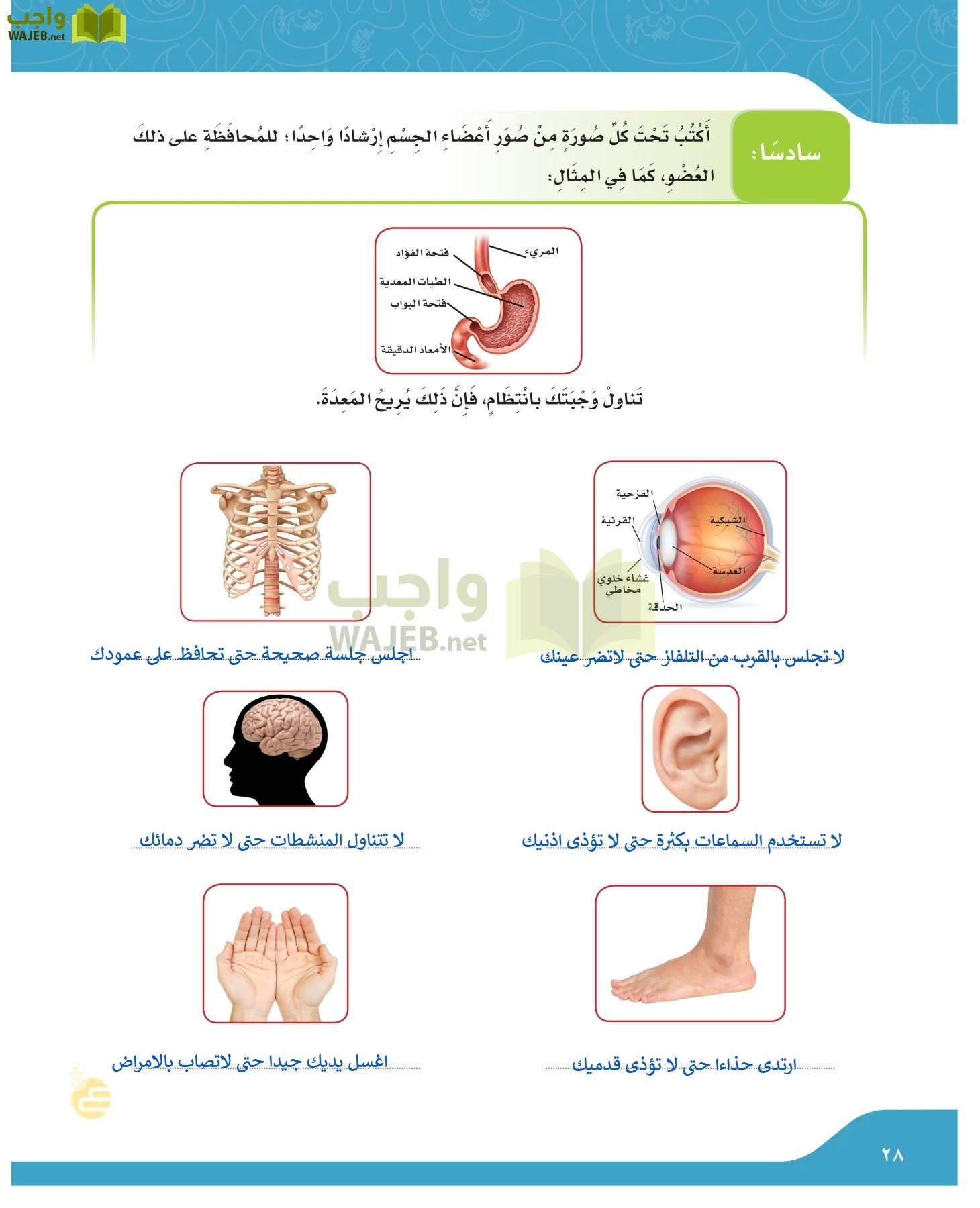 لغتي الجميلة page-27