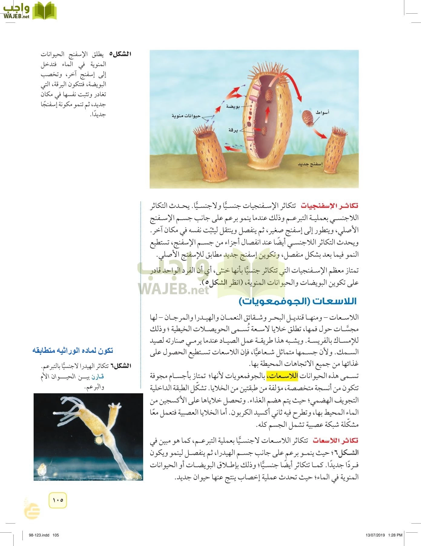 العلوم page-104