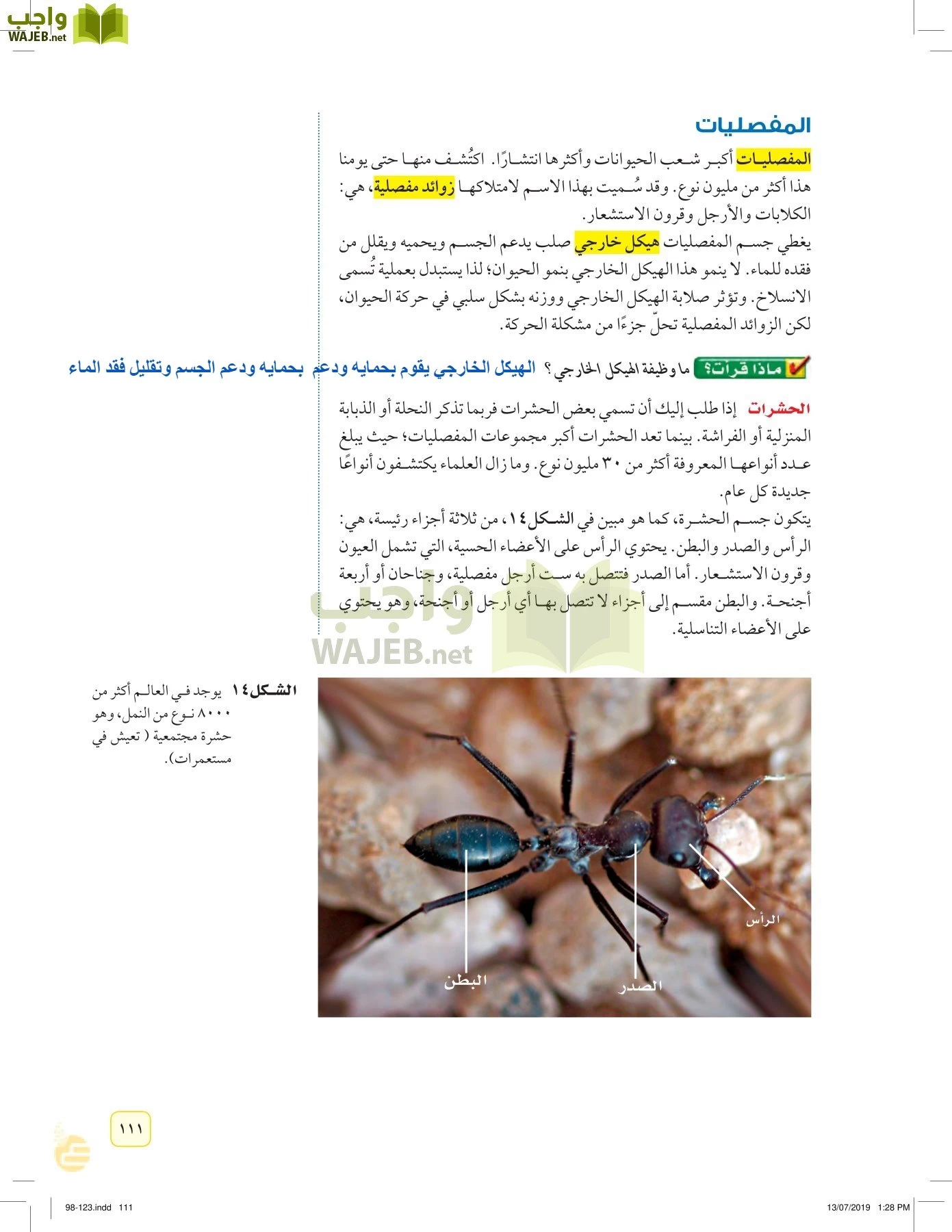 العلوم page-110