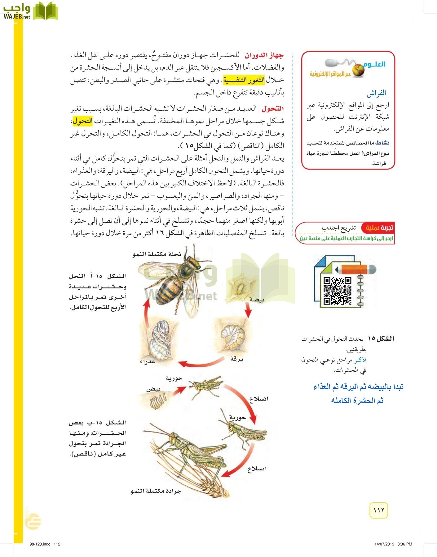 العلوم page-111