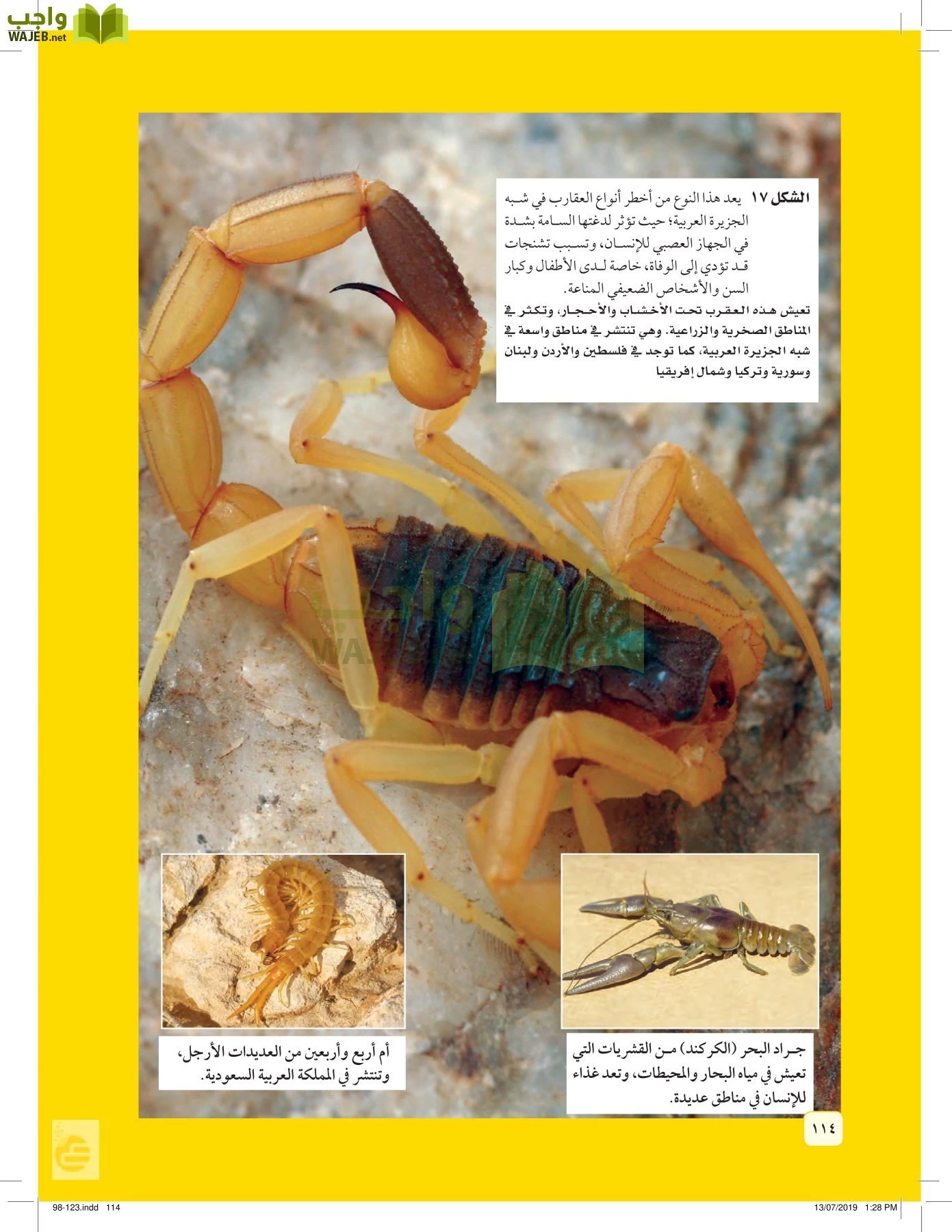 العلوم page-113
