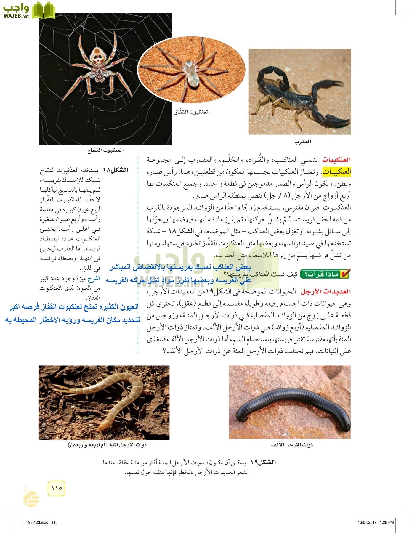 العلوم page-114