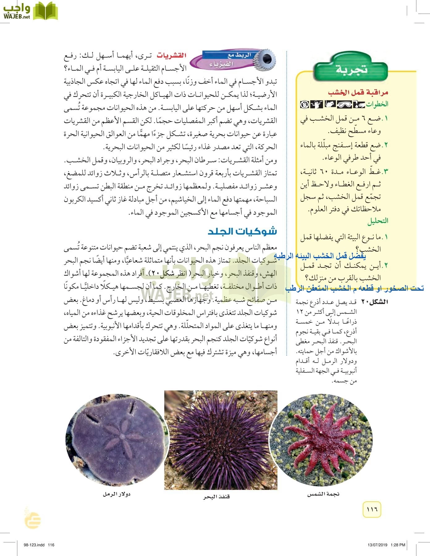 العلوم page-115