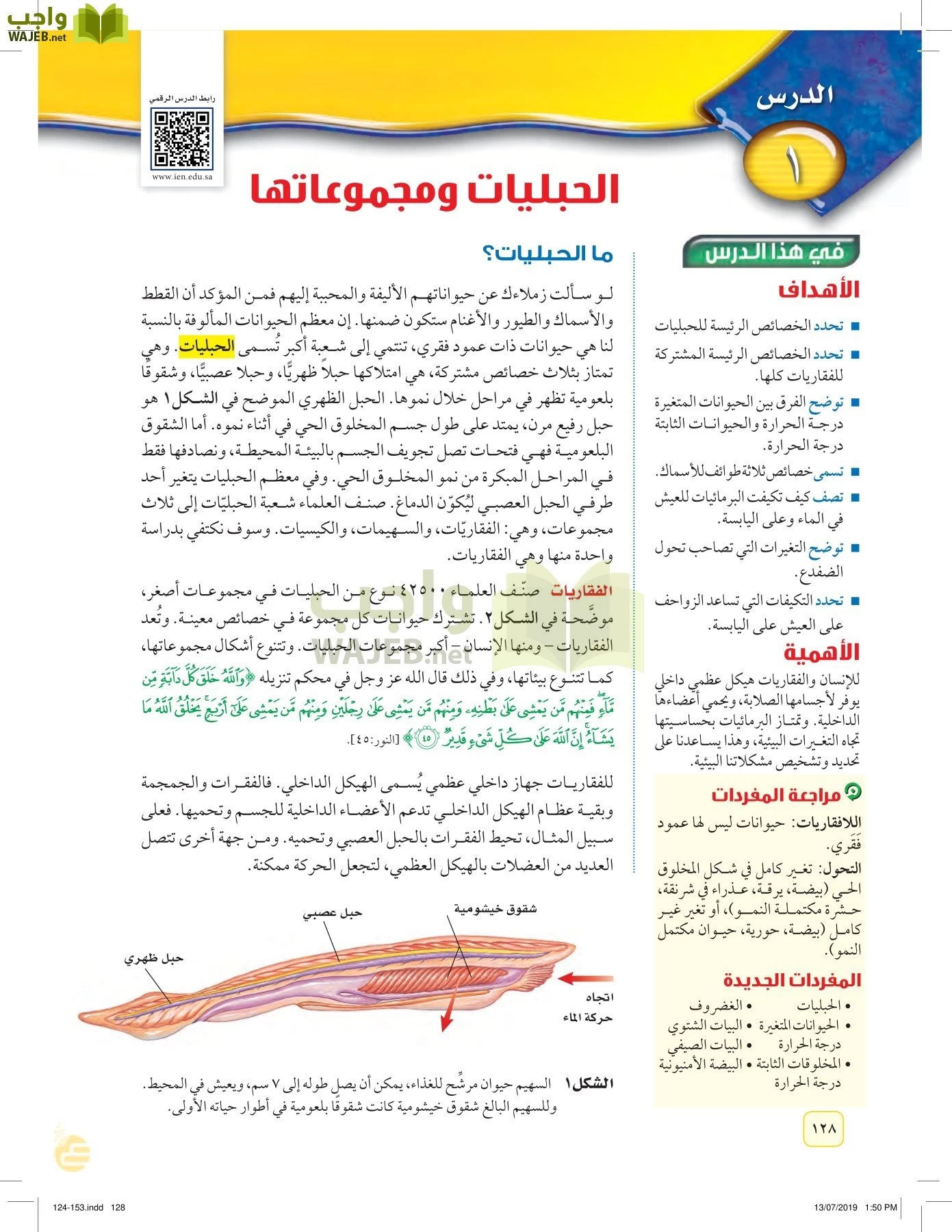 العلوم page-127