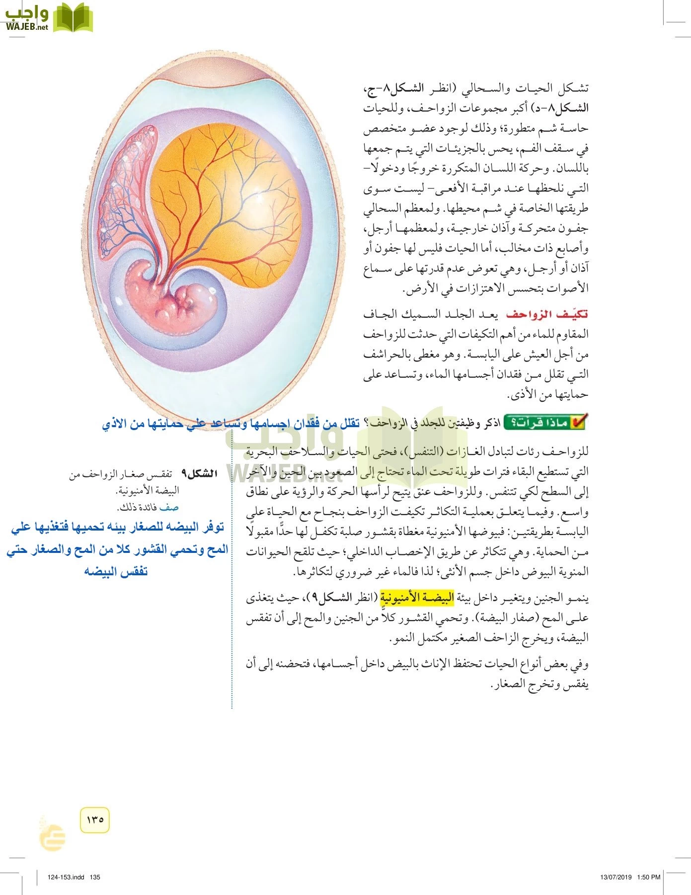 العلوم page-134