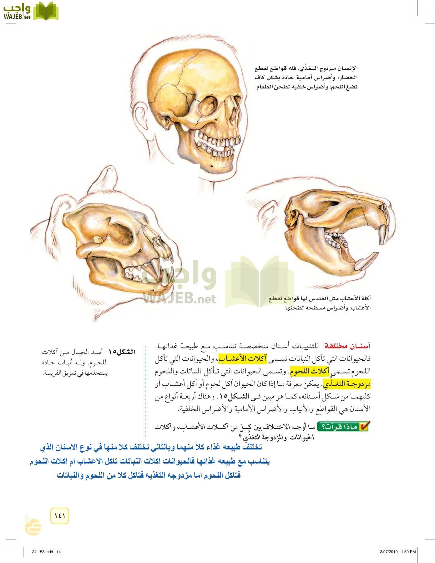 العلوم page-140