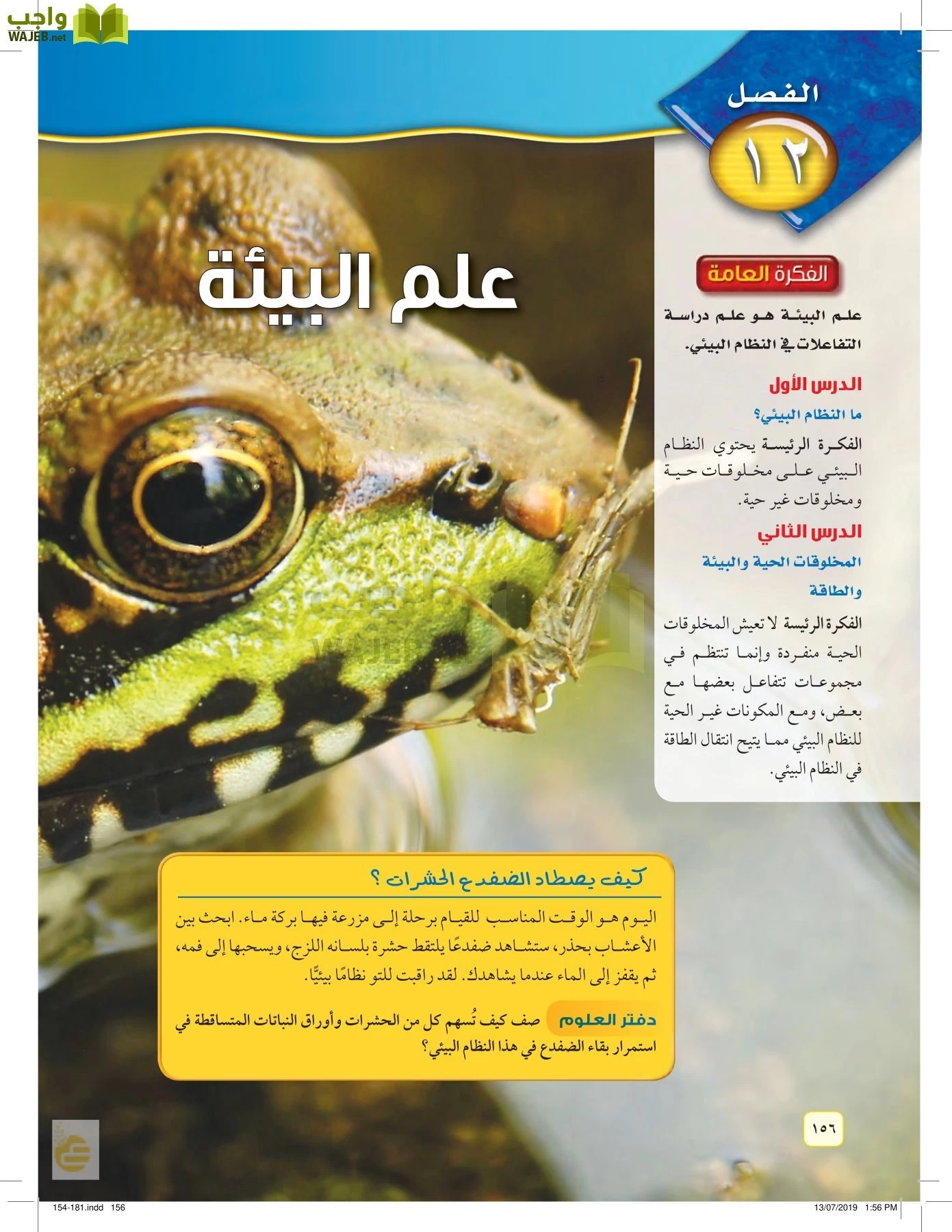 العلوم page-155