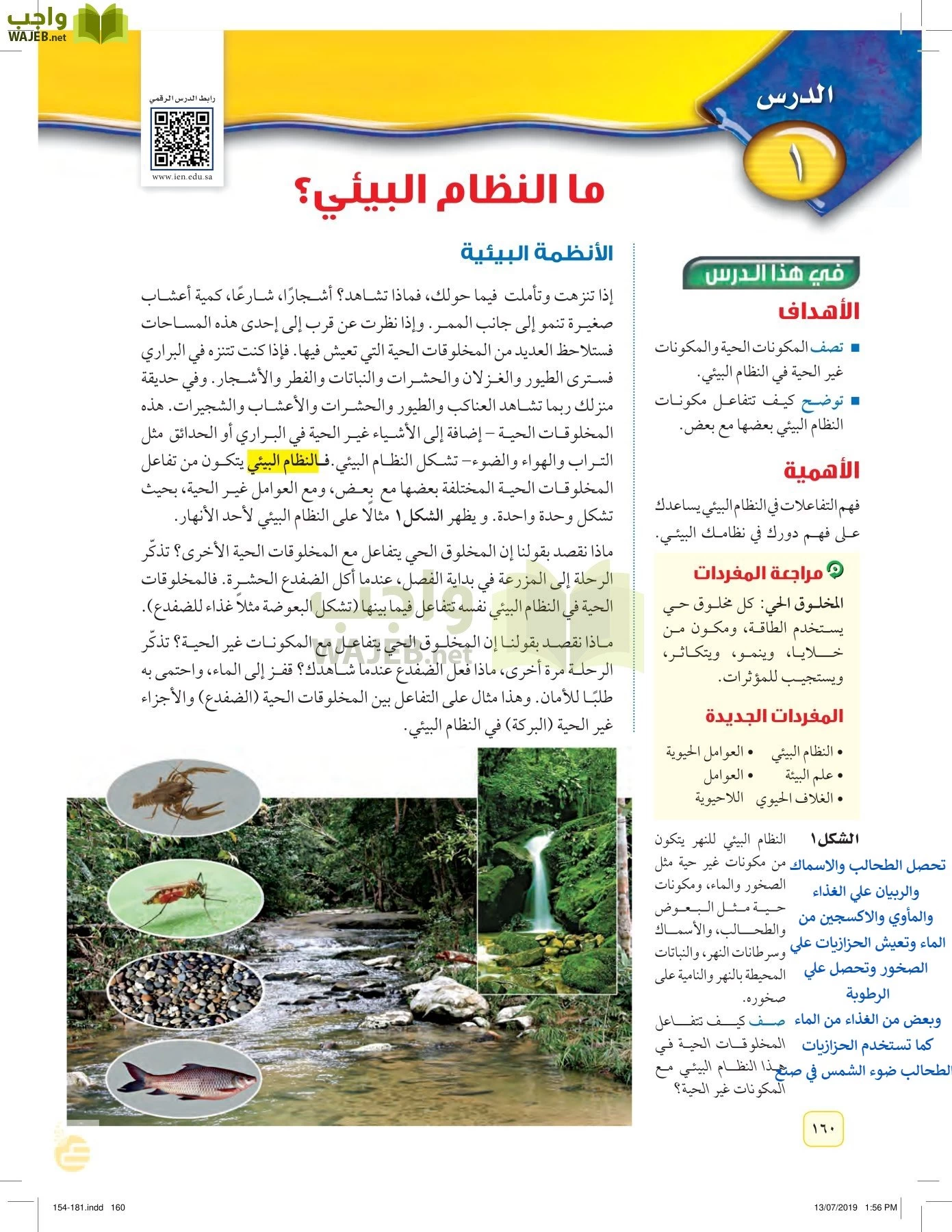 العلوم page-159