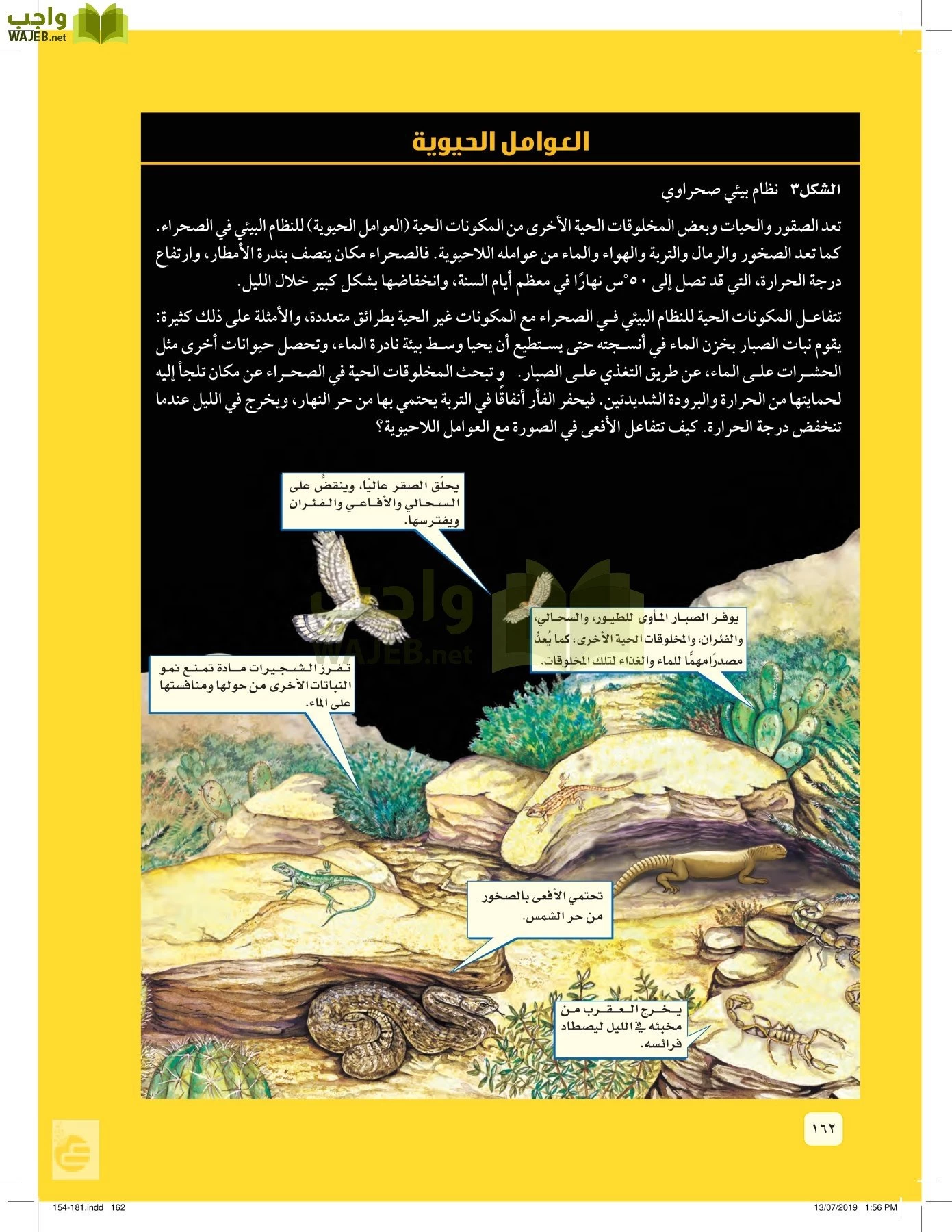 العلوم page-161