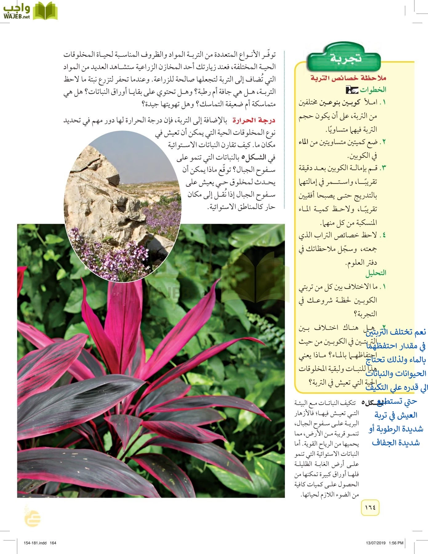 العلوم page-163