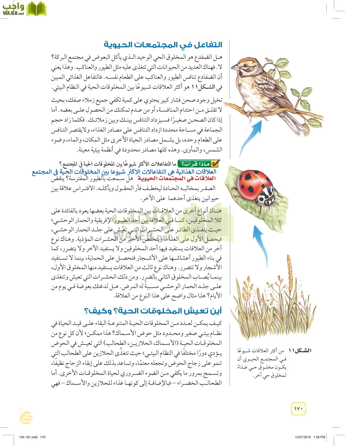 العلوم page-169