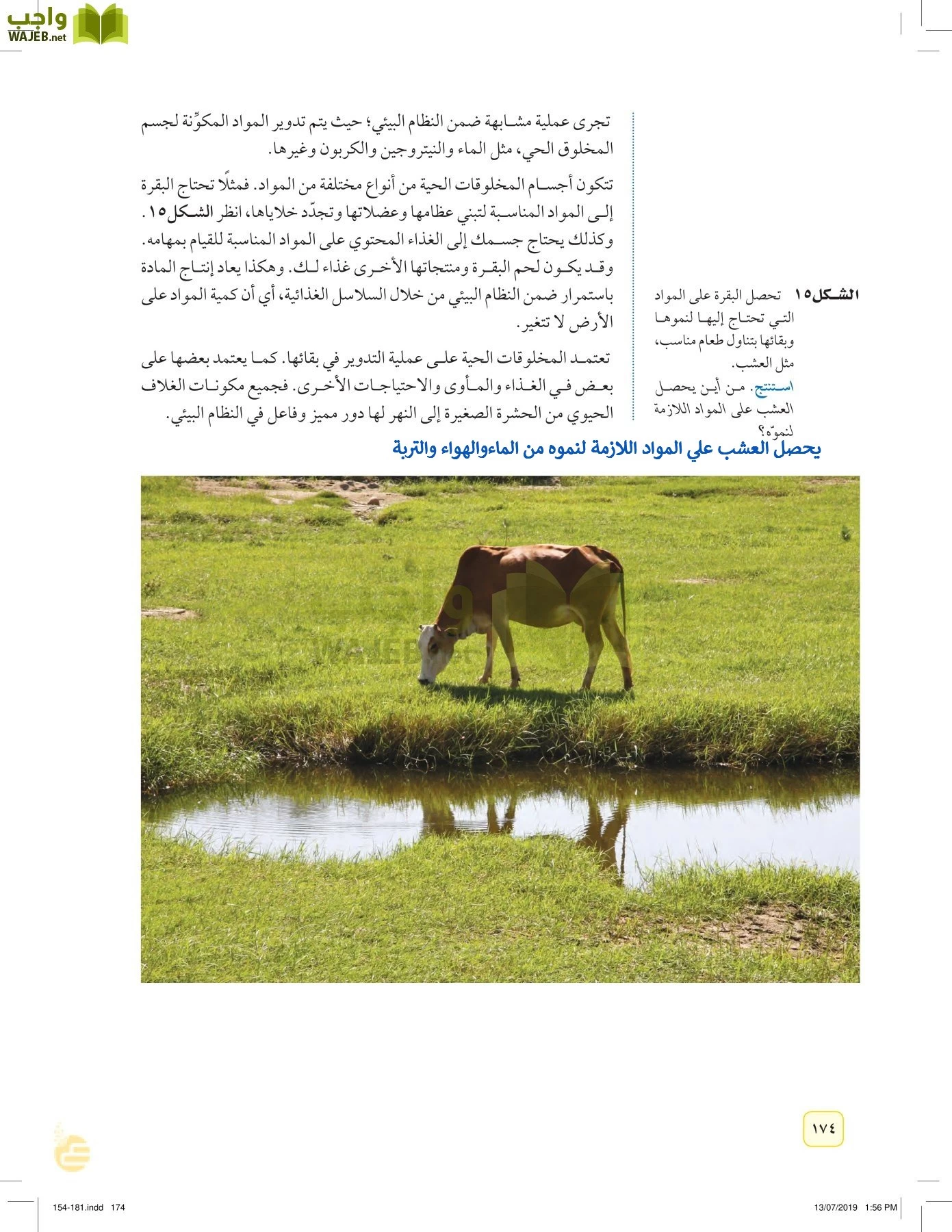 العلوم page-173