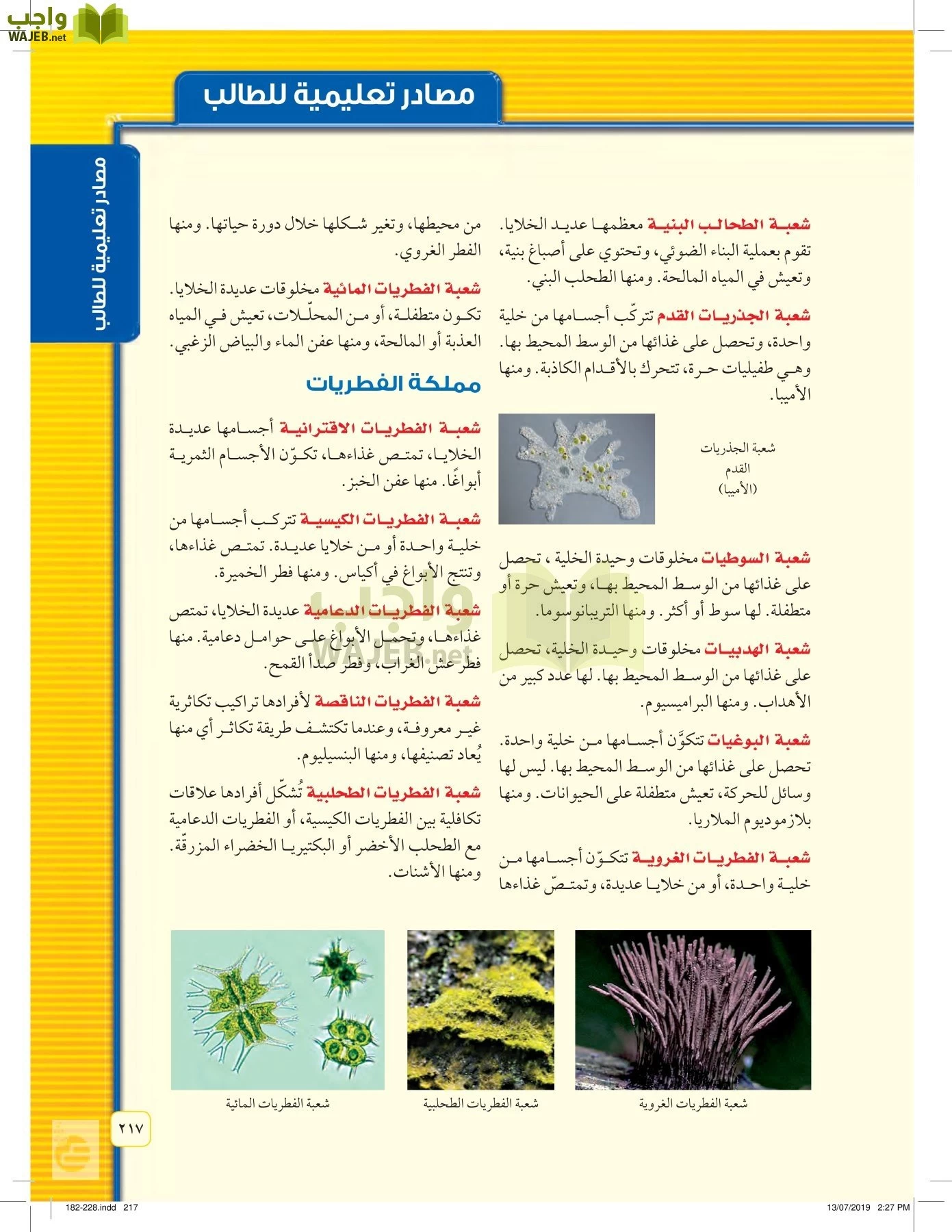العلوم page-216