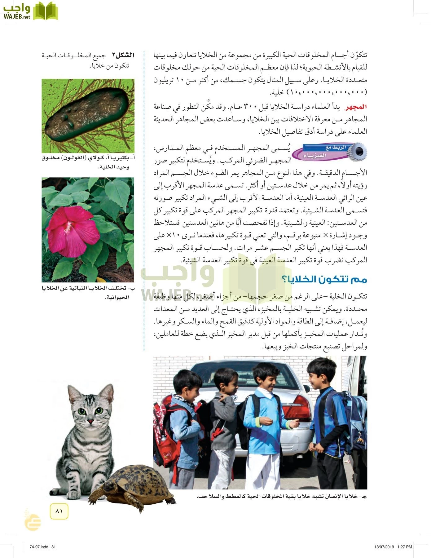 العلوم page-80