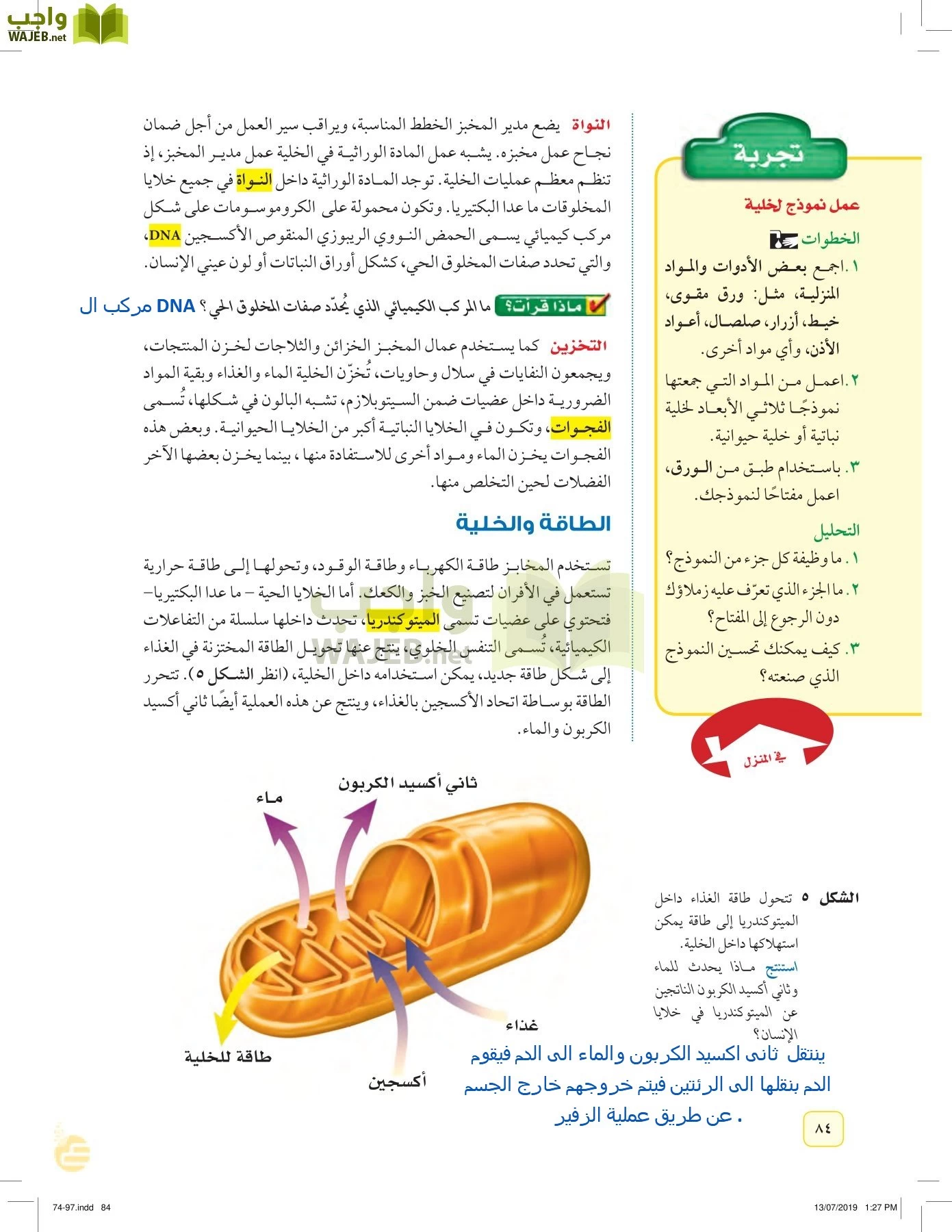 العلوم page-83