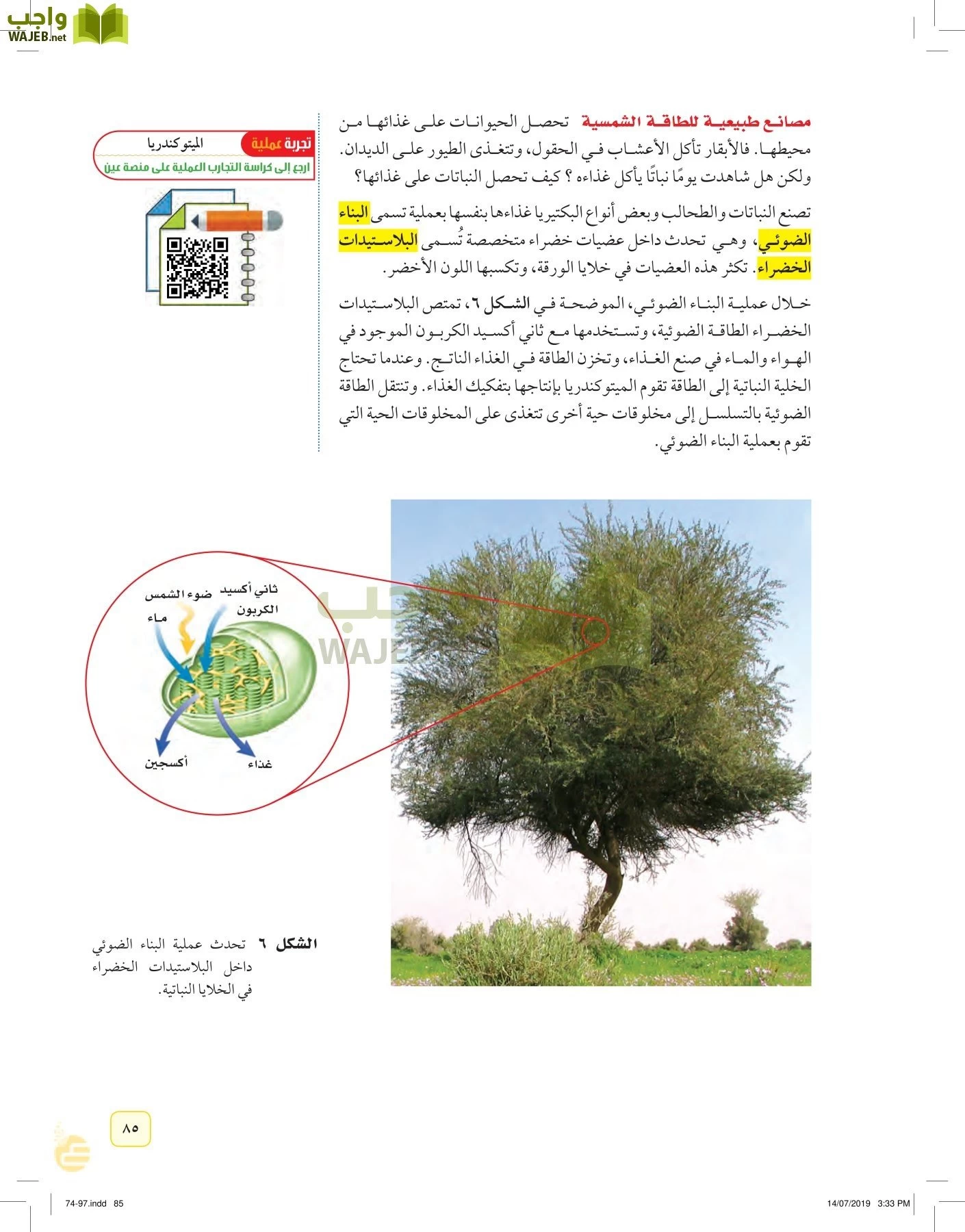 العلوم page-84
