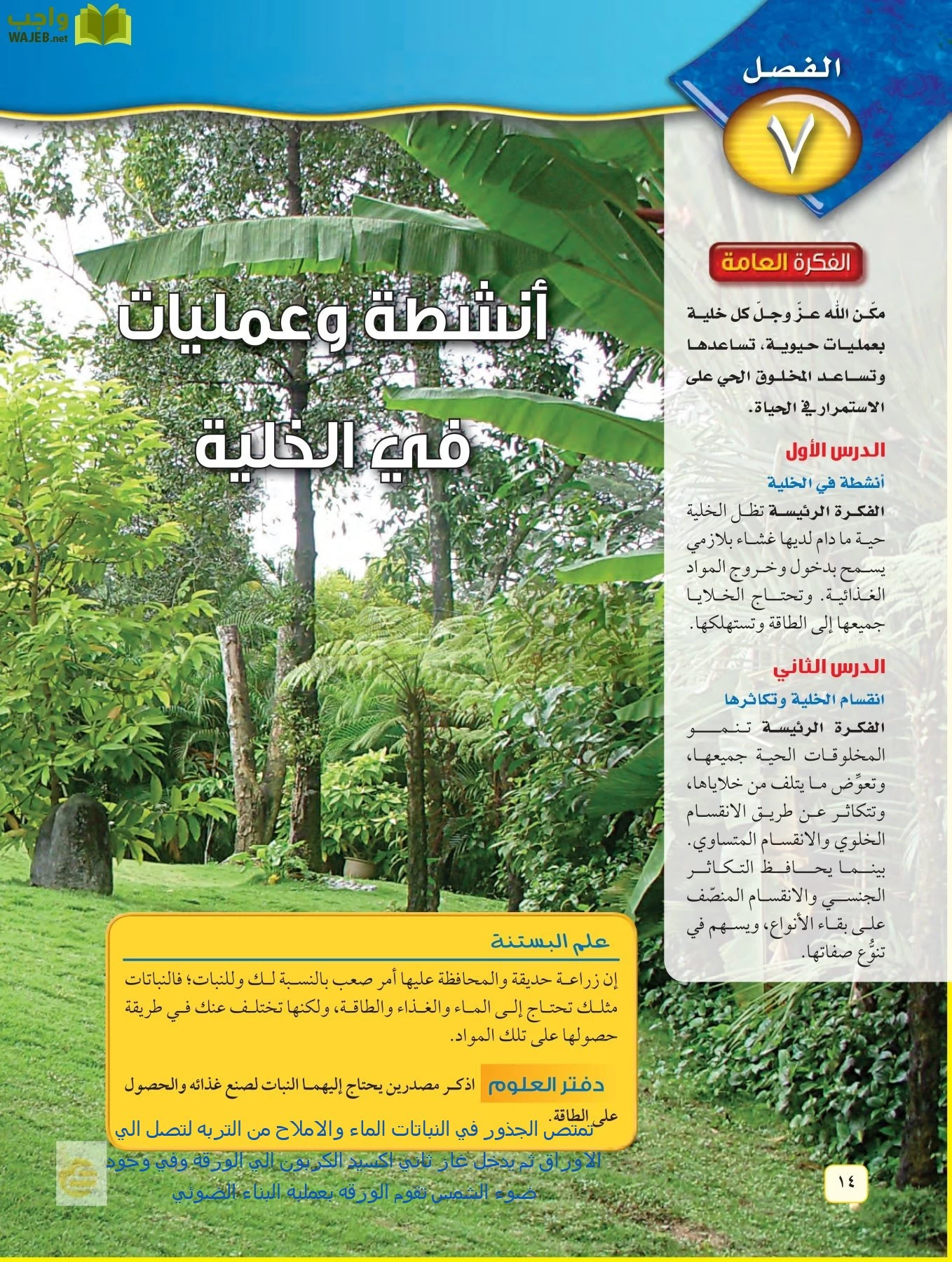 العلوم page-13