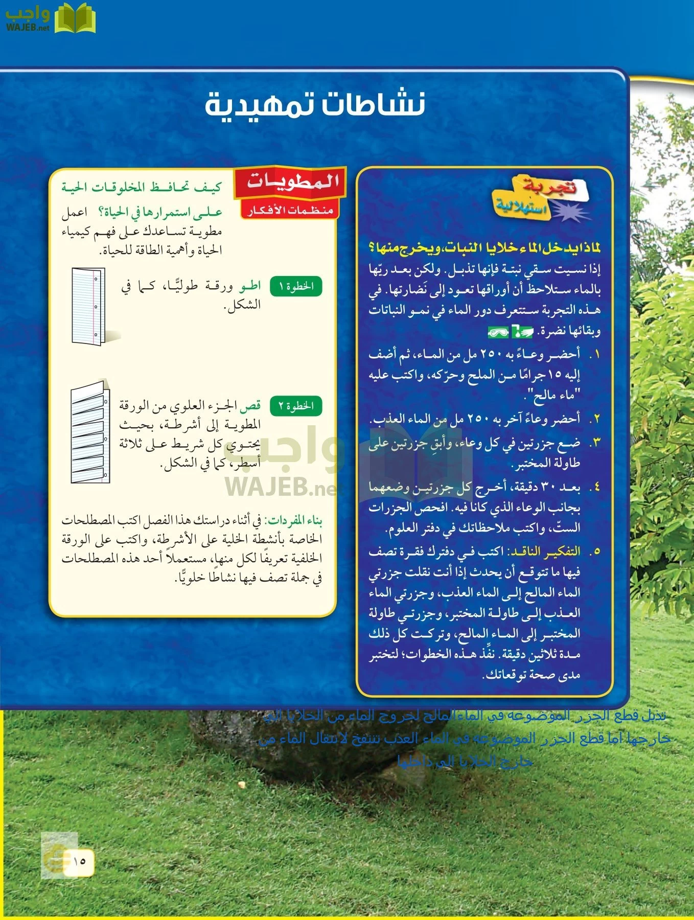 العلوم page-14