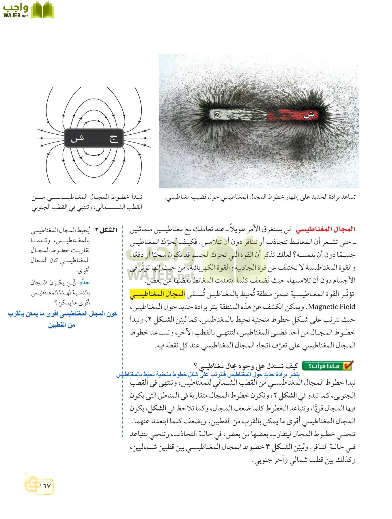 العلوم page-166