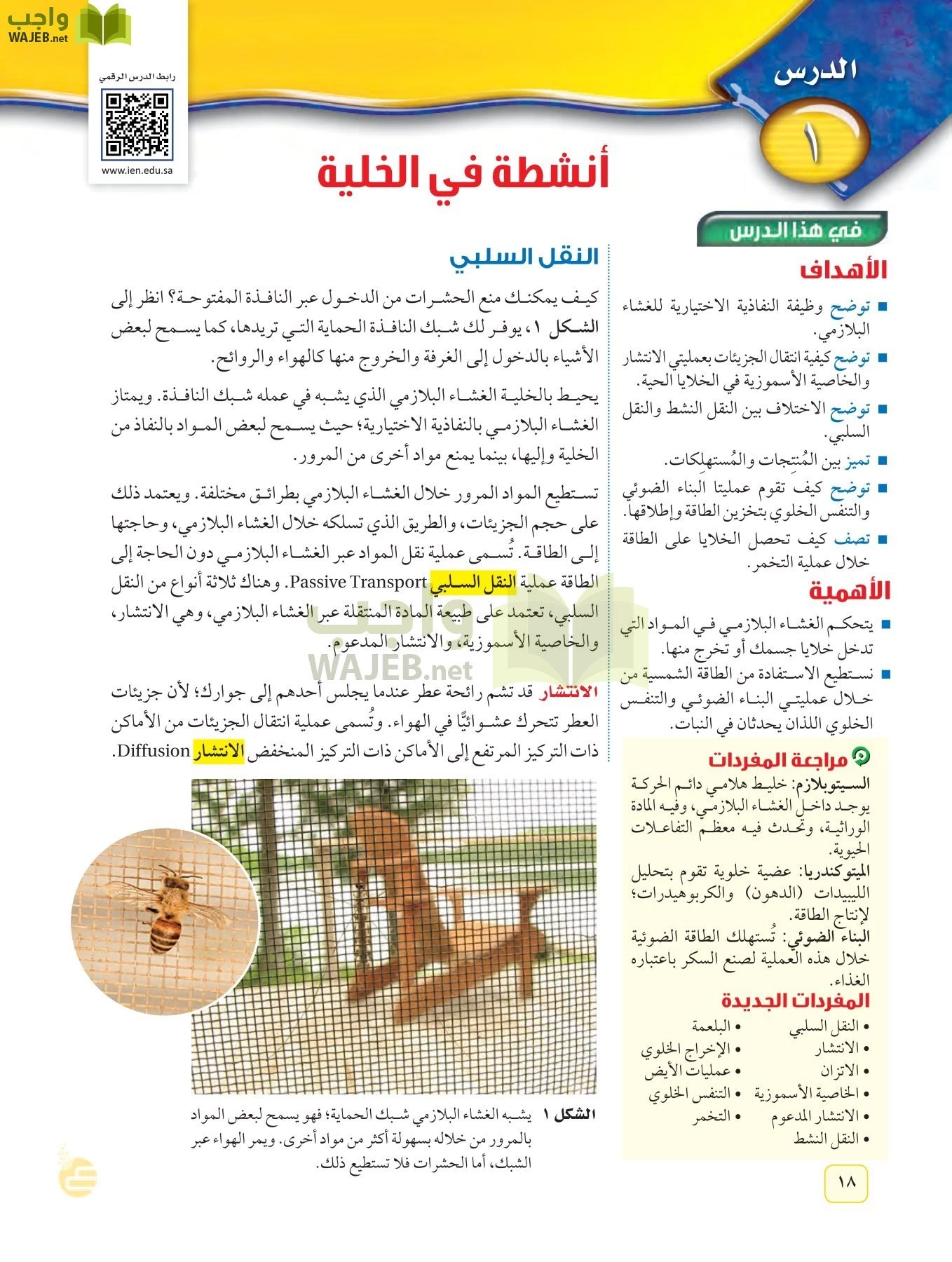 العلوم page-17